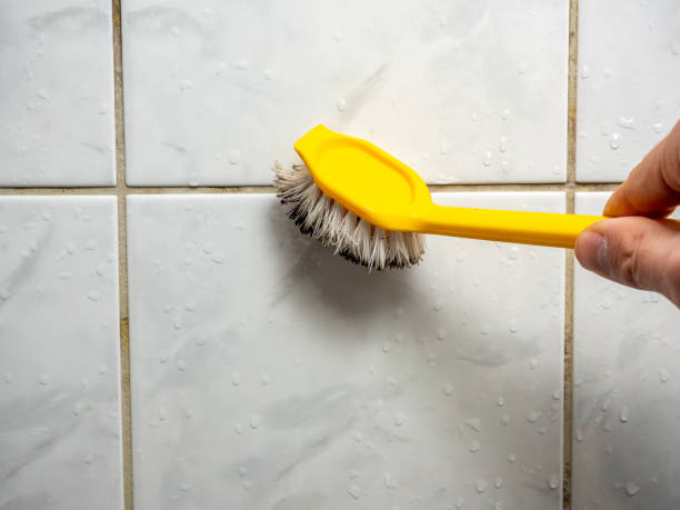 Best Mold Remediation  in Dayton, MN
