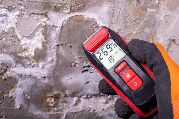 Best Crawl Space Mold Removal  in Dayton, MN