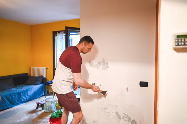 Best Certified Mold Removal  in Dayton, MN
